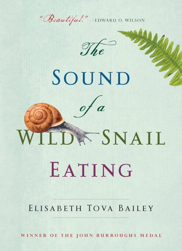 The Sound Of A Wild Snail Eating