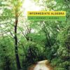 Intermediate Algebra: Master the Concepts with Lial, Hornsby, and McGinnis (13th Edition)