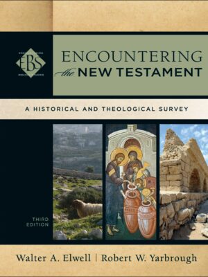 Encountering the New Testament (Encountering Biblical Studies): A Historical and Theological Survey 3rd Edition