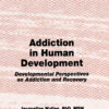 Addiction in Human Development 1st Edition Developmental Perspectives on Addiction and Recovery