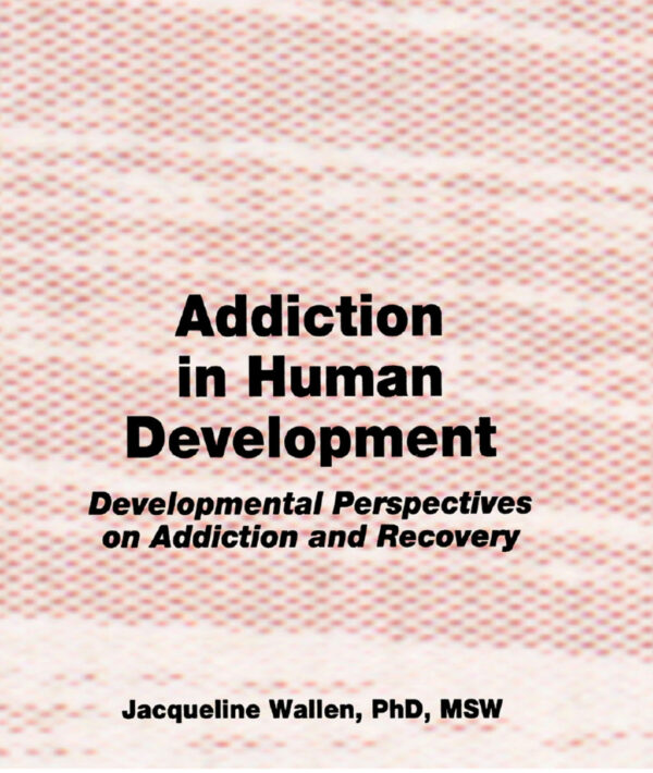 Addiction In Human Development 1St Edition Developmental Perspectives On Addiction And Recovery