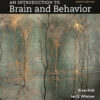 An Introduction to Brain and Behavior 7th Edition