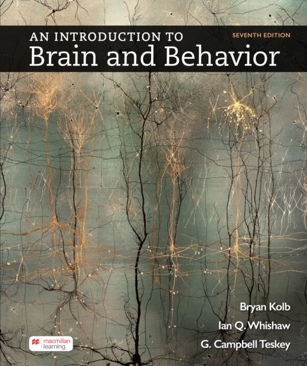 An Introduction To Brain And Behavior 7Th Edition