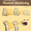 A Visual Analogy Guide to Human Anatomy 4th Edition