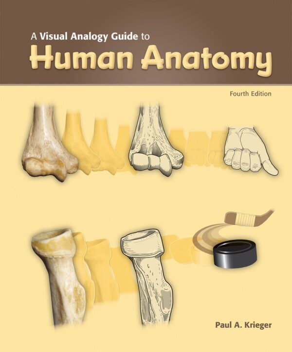 A Visual Analogy Guide To Human Anatomy 4Th Edition