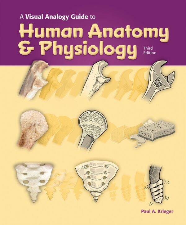 A Visual Analogy Guide To Human Anatomy &Amp; Physiology 3Rd Edition