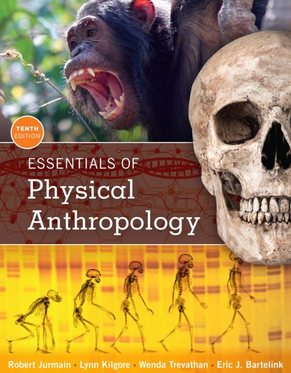 Essentials Of Physical Anthropology: A 10Th Edition Guide To Human Evolution And Variation