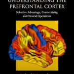 The Prefrontal Cortex: Selective Advantage, Connectivity, and Neural Operations