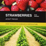 Strawberry Production: A Comprehensive Guide to Crop Science in Horticulture