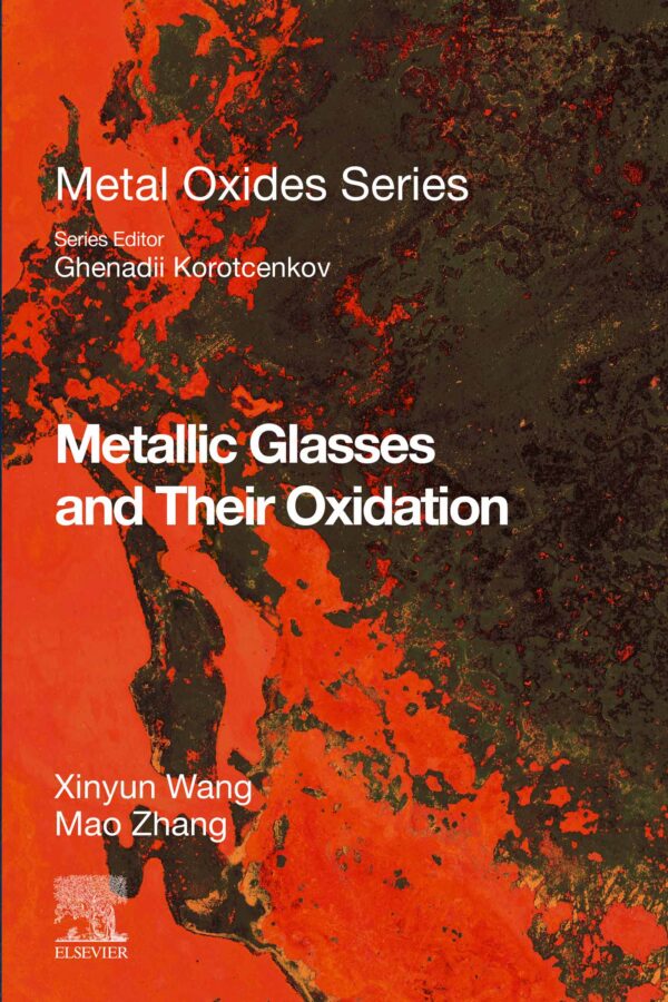 Metallic Glasses And Their Oxidation: 1St Edition