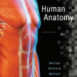 Human Anatomy 8th Edition: A Comprehensive Guide to the Human Body