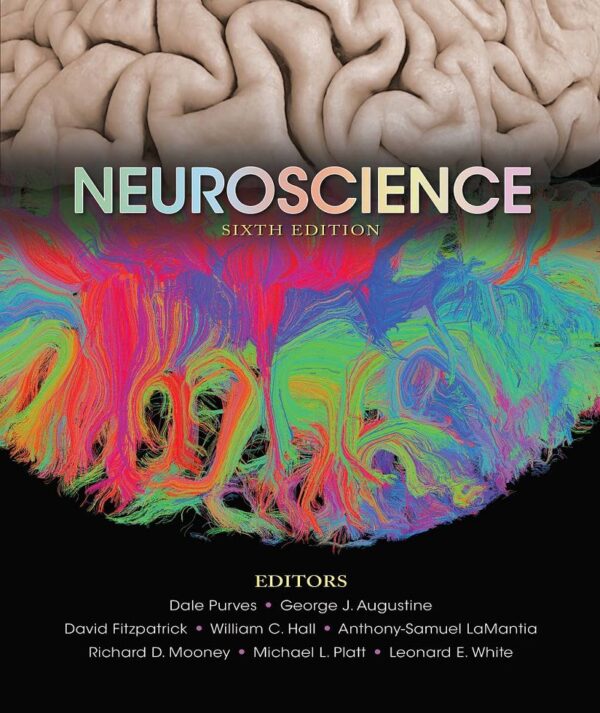 Neuroscience 6Th Edition Textbook: Explore The Brain And Behavior