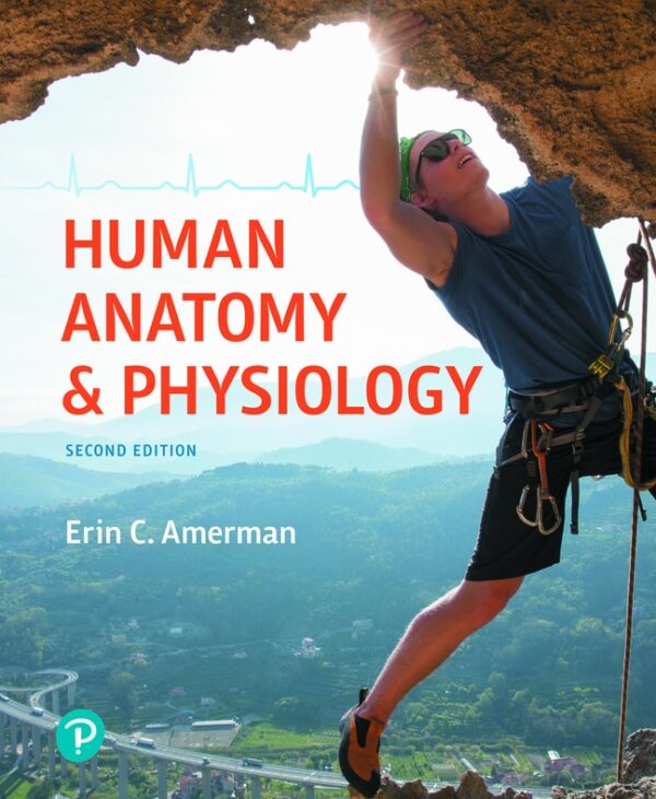 Human Anatomy &Amp; Physiology 2Nd Edition