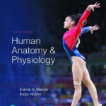 Human Anatomy & Physiology11th Edition