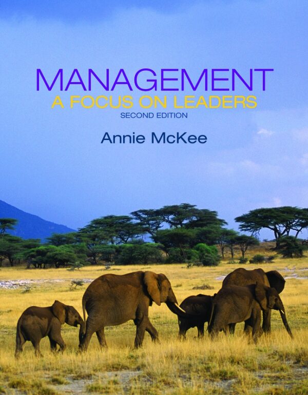 Management: A Focus On Leaders 2Nd Edition