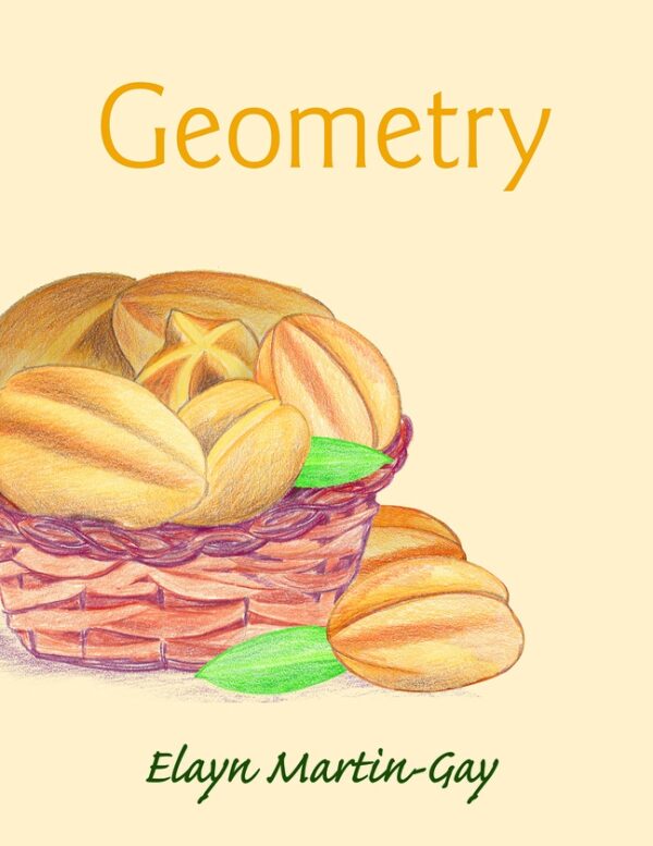 Geometry 1St Edition