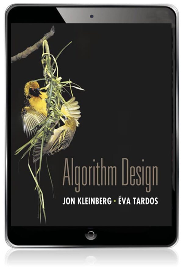 Algorithm Design 1St Edition