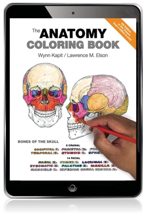 Anatomy Coloring Book, The4Th Edition